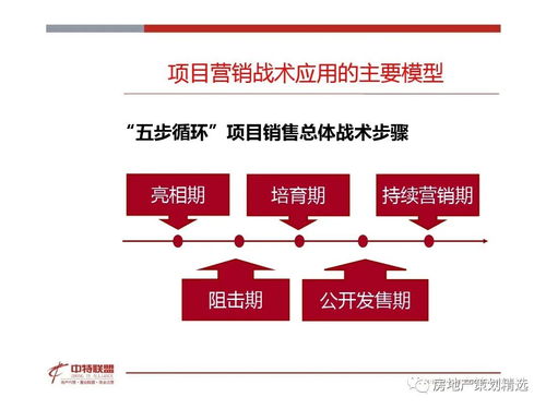 房地產營銷策劃 思路精髓與實踐指南
